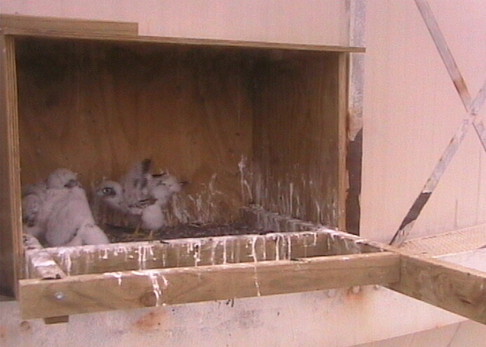 2009-10-28_065125.jpg