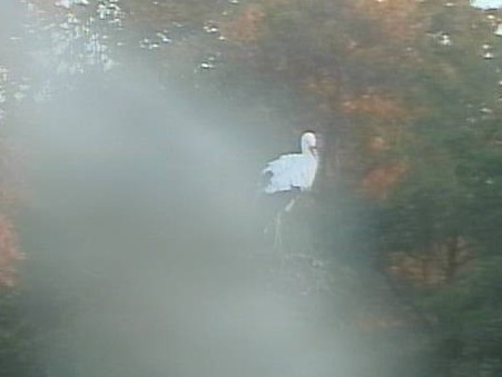 2009-10-28_072152.jpg
