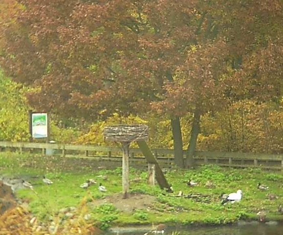2009-10-28_091916.jpg