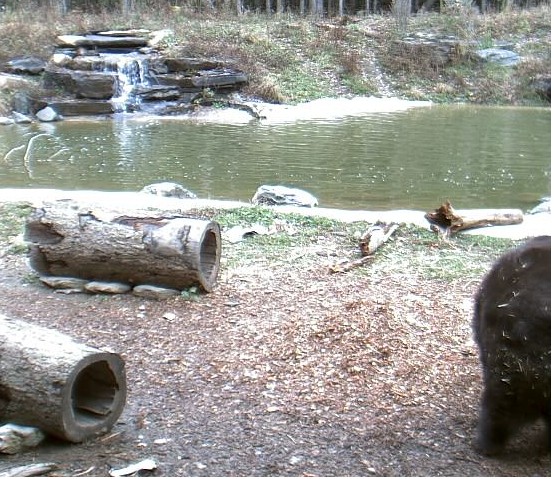 2009-10-28_180344.jpg
