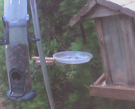 2009-10-29_000841.jpg