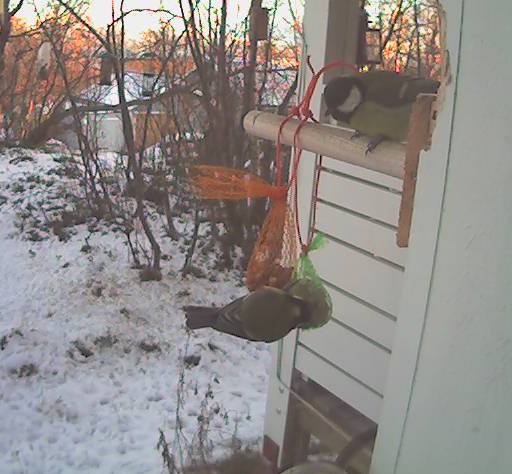 2009-10-29_101102.jpg