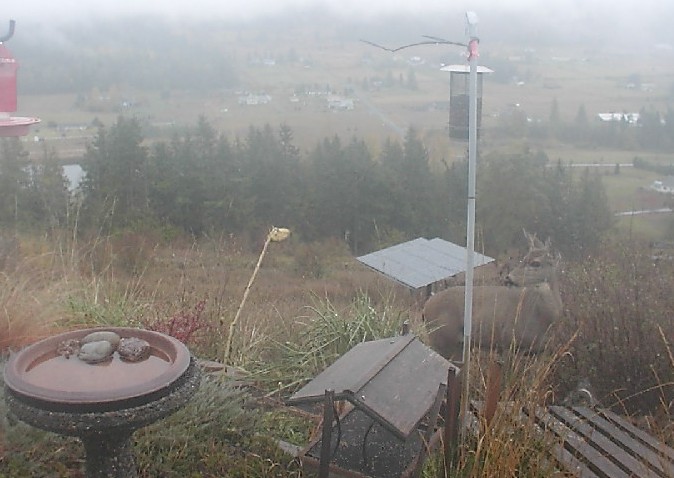 2009-10-29_174720.jpg