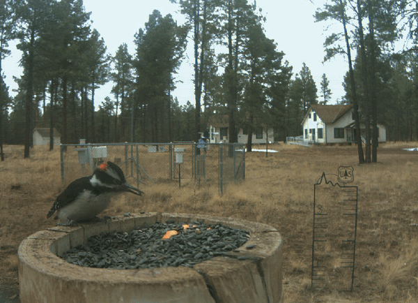 2009-10-30_133300.gif
