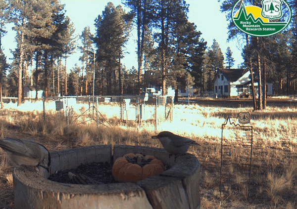 2009-10-30_154707.gif