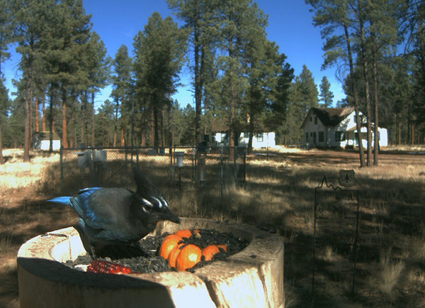 2009-10-30_181811.jpg