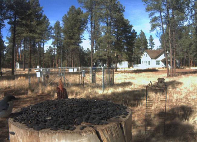 2009-10-30_220216.jpg