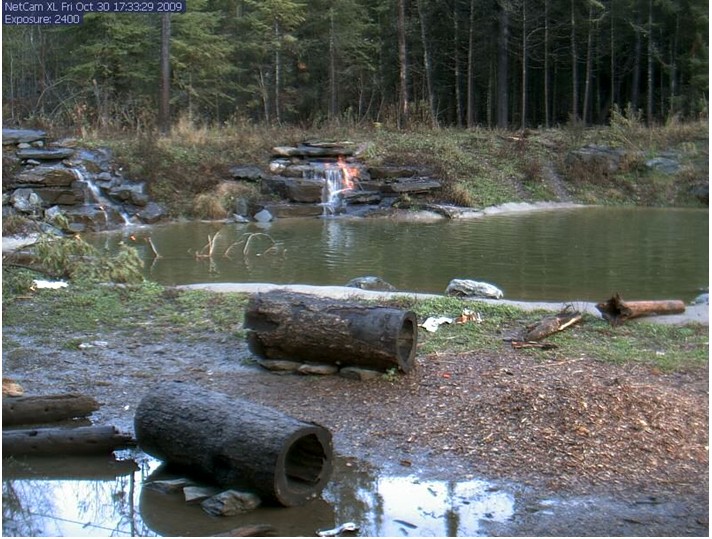 2009-10-30_233116.jpg