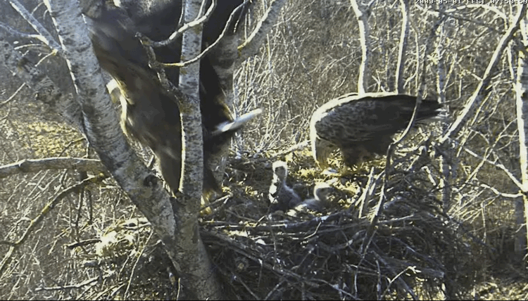 2009-05-01_093421.gif
