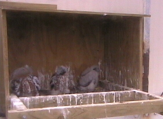 2009-10-31_214021.jpg