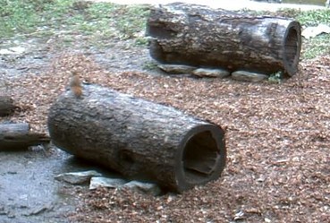 2009-10-31_220817.jpg