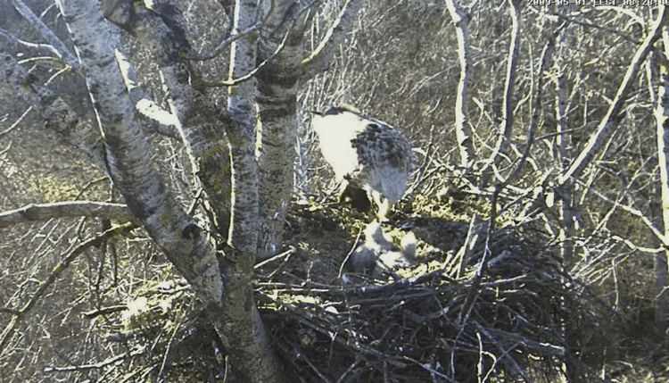 2009-05-01_093928.gif