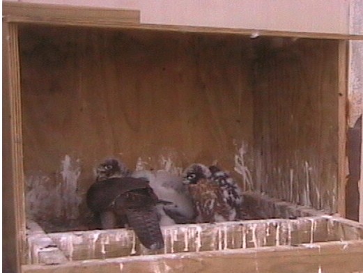2009-11-02_063850.jpg
