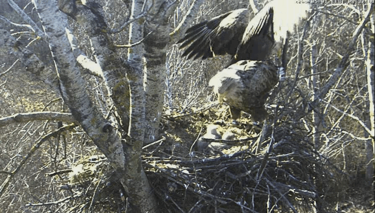 2009-05-01_094548.gif
