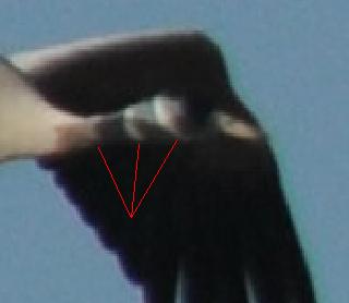 V11.JPG