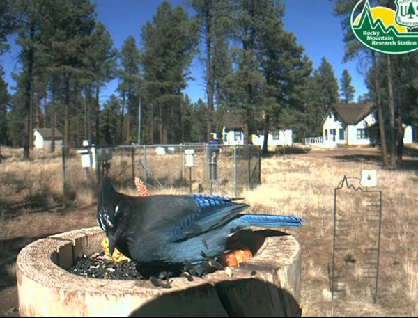 2009-11-02_210634.png