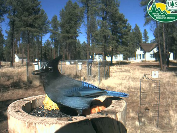 2009-11-02_210812.png