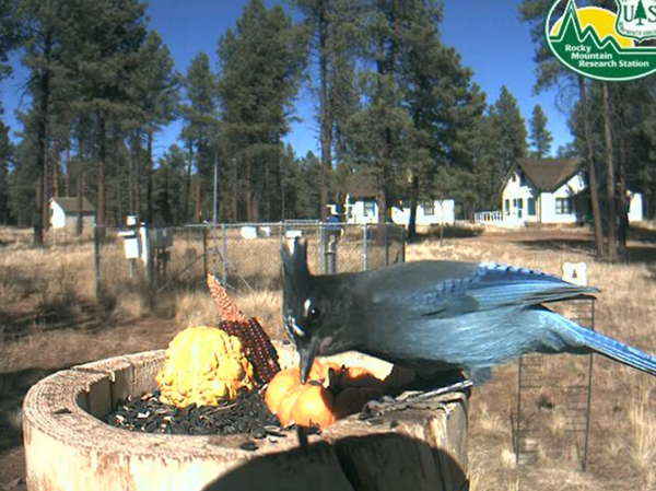 2009-11-02_212049.png