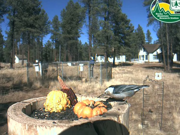 2009-11-02_212320.png