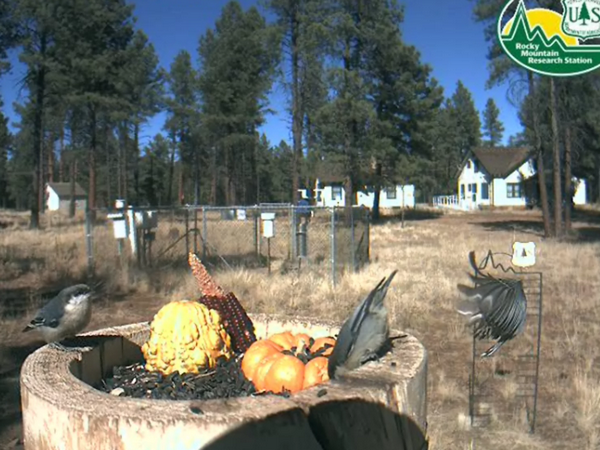 2009-11-02_212525.png