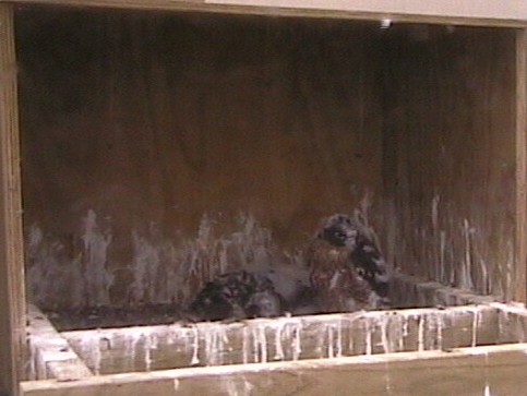 2009-11-03_060440.jpg