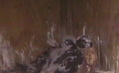 2009-11-03_074635.jpg
