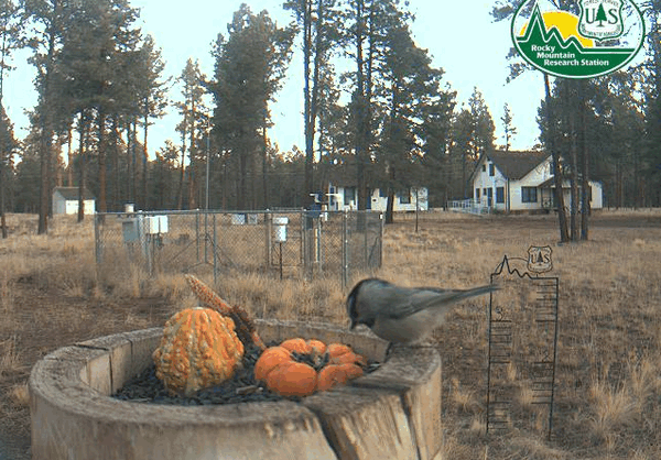 2009-11-03_144439.gif