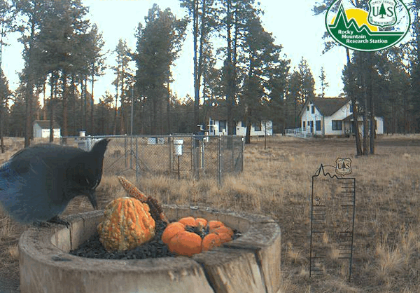 2009-11-03_144920.gif