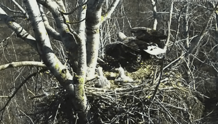 2009-05-01_190446.gif