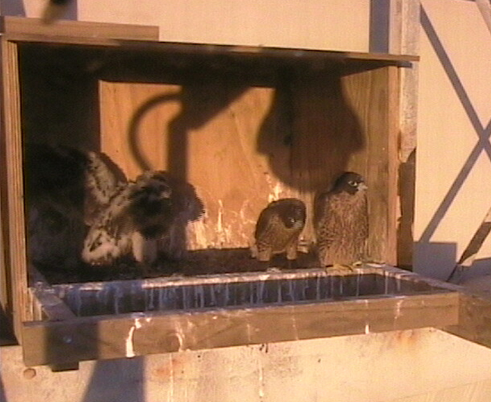2009-11-07_203151.png