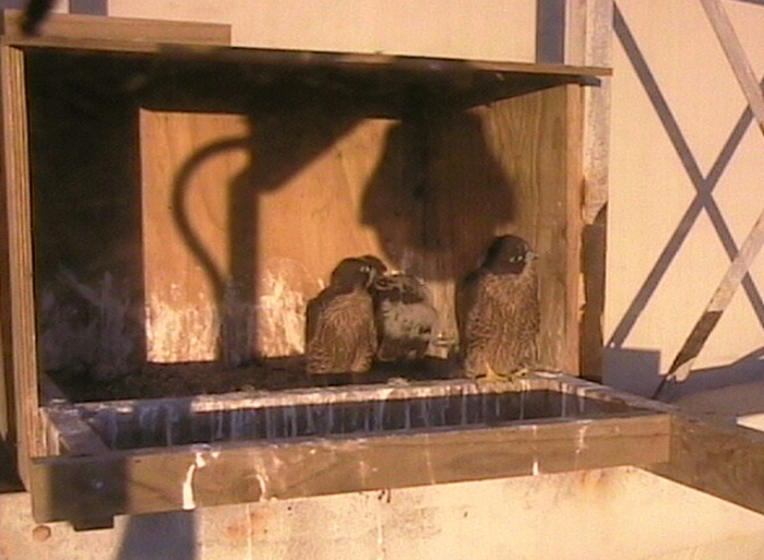 2009-11-07_203508.png