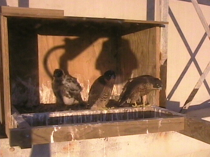 2009-11-07_203801.png