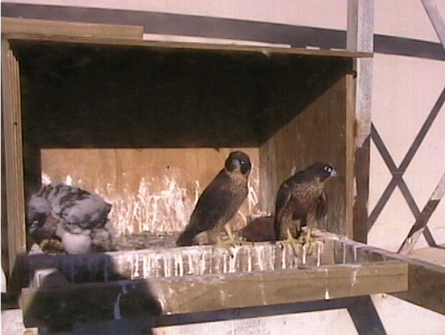 2009-11-07_220318.jpg