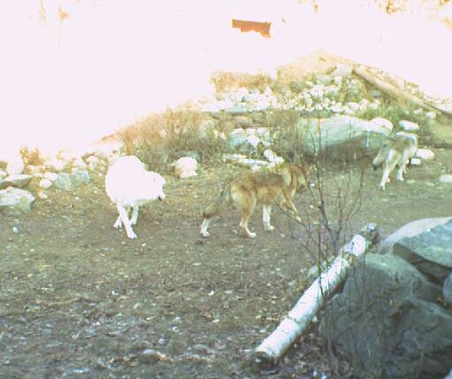 2009-11-07_213221.jpg