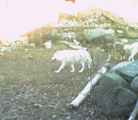 2009-11-07_213452.jpg