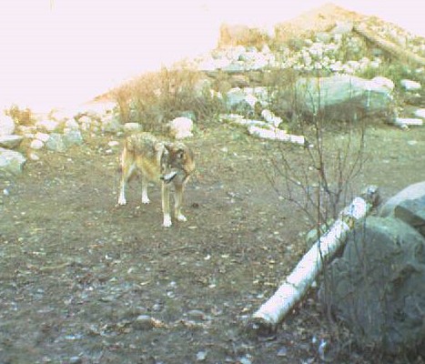 2009-11-07_213611.jpg