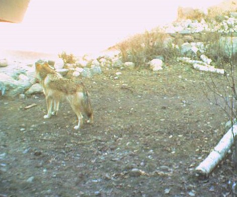 2009-11-07_213637.jpg