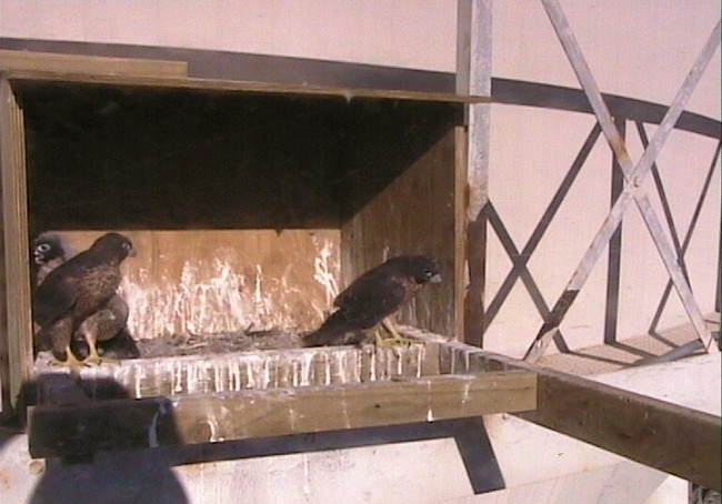 2009-11-07_220937.jpg