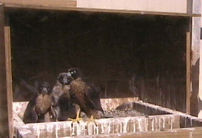 2009-11-07_231150.png