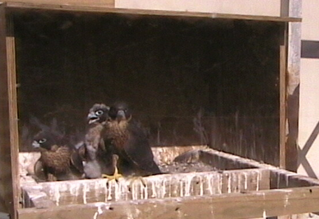 2009-11-07_231454.png