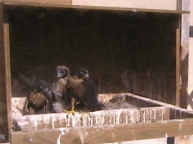 2009-11-07_231639.png