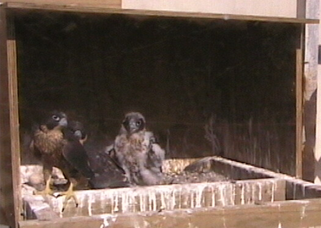 2009-11-07_231839.png