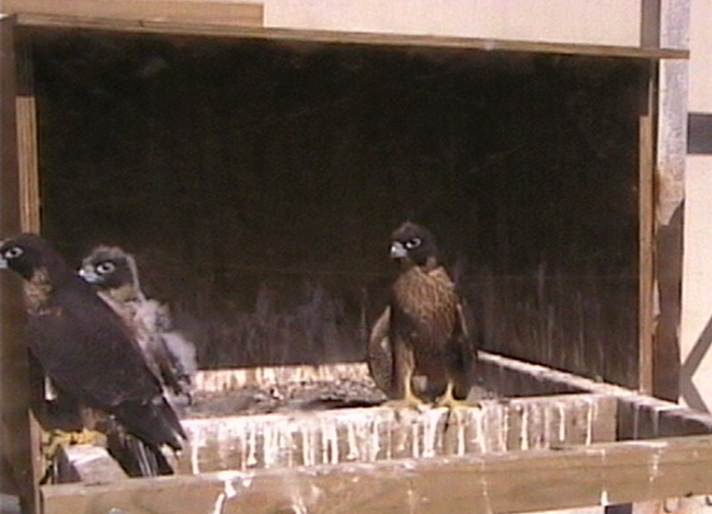 2009-11-07_232359.png