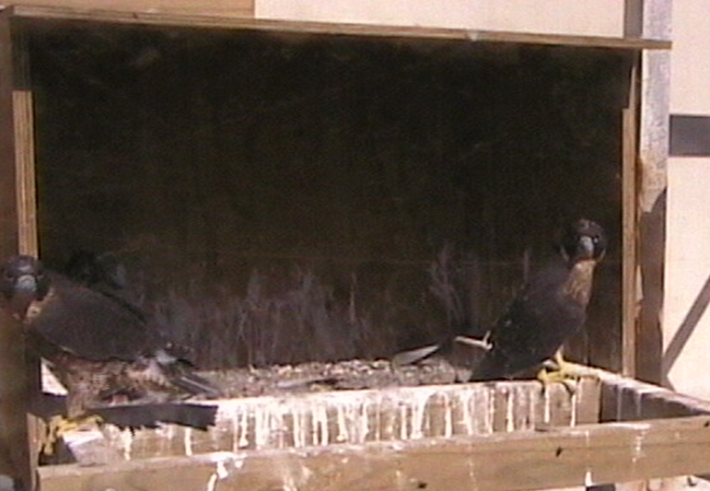 2009-11-07_233223.png
