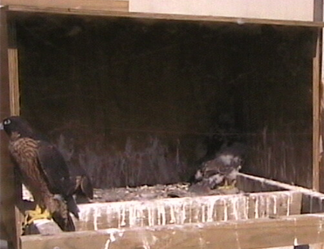 2009-11-07_233549.png