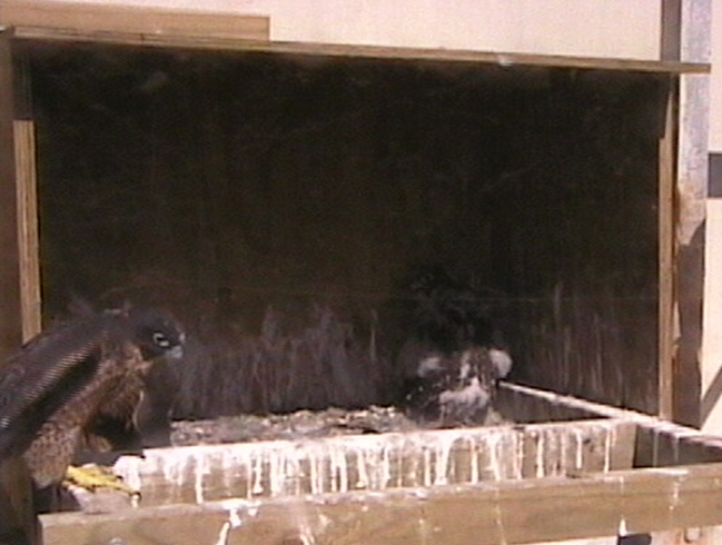 2009-11-07_233955.png