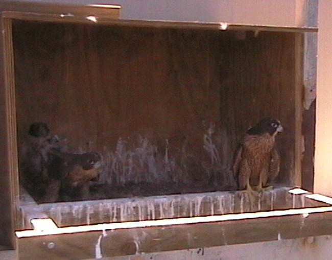 2009-11-08_040158.png