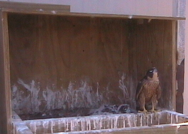 2009-11-08_042918.png
