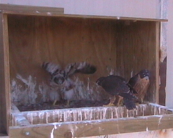 2009-11-08_070820.jpg