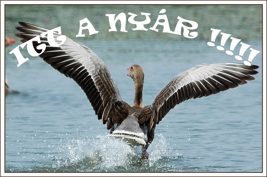 itt a nyár.jpg